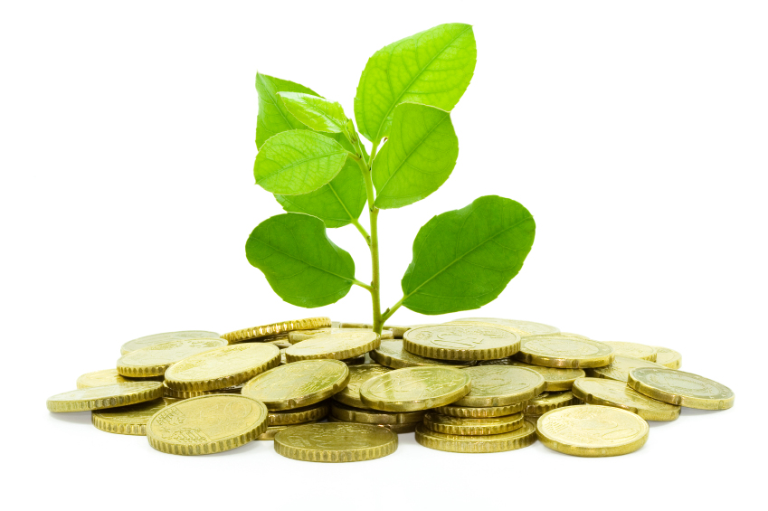Small tree sprout growing from pile of gold coins